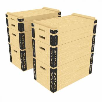 Набор плинтов 2*4 IRON KING Айрон Кинг CR31 для функционального тренинга - SPORTSMAN завод спортивного инвентаря VASIL