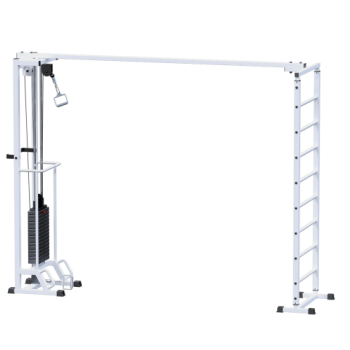 AR087.1х2400 Биотонус + шведская стенка (стек 100 кг) - SPORTSMAN завод спортивного инвентаря VASIL