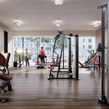 Модульный зал IRON KING Айрон Кинг - SPORTSMAN завод спортивного инвентаря VASIL