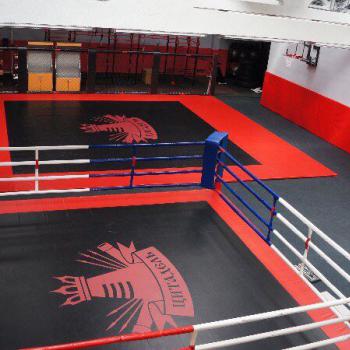 Ринг боксерский IRON KING Айрон Кинг с боев. зоной 6 х 6 м., на помосте 7 х 7 м. высотой 0,5 м. - SPORTSMAN завод спортивного инвентаря VASIL