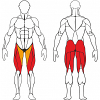   IRON KING   IMPERATOR - IKL-1059 - SPORTSMAN    VASIL