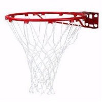   Spalding Standart () .7811SCNR - SPORTSMAN    VASIL