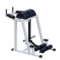 ���������������� ������� �������� �������������� �������� Sabirgym SG027.1 - SPORTSMAN ����� ����������� ��������� VASIL