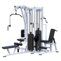 ���������������� ������� �������� ������������� ������� Sabirgym SG097�4�100 ����� 4�100 �� ironking - SPORTSMAN ����� ����������� ��������� VASIL