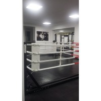Ринг напольный быстросборный 6 х 6 м. IRON KING Айрон Кинг - SPORTSMAN завод спортивного инвентаря VASIL