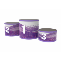 ��������� ������� ������� ��-1 �������� 600�600�380 vasilgym - SPORTSMAN ����� ����������� ��������� VASIL