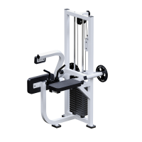 ������� �������� ��� ��������� ������ +������� + ����� Sabirgym SGINVAR056 - SPORTSMAN ����� ����������� ��������� VASIL