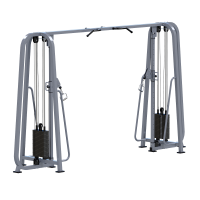 ���������������� ������� �������� ��������� Sabirgym SGMS700*100 2 ����� �� 100 �� iron king - SPORTSMAN ����� ����������� ��������� VASIL