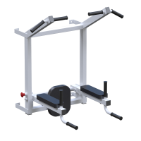 ������� �������� Sabirgym ������ + ������ + ����� Sabirgym SGL060 - SPORTSMAN ����� ����������� ��������� VASIL