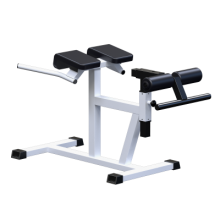 ���������������� ������� �������� �������������� Sabirgym SG027 - SPORTSMAN ����� ����������� ��������� VASIL