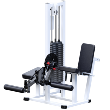    +   ( 100 ) AR041 - SPORTSMAN    VASIL