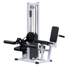    +    ( 100 ) AR053 - SPORTSMAN    VASIL