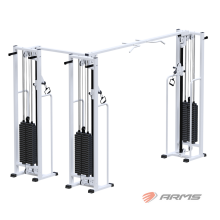  +   ( 3100 ) AR081.3x100  ARMS Armssport   - SPORTSMAN    VASIL