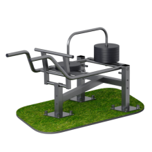 ������� �������� ���������� Sabirgym SGMS076 � ���������� ��������� - SPORTSMAN ����� ����������� ��������� VASIL