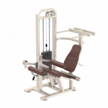 ���������������� �������� IRON KING ����� ���� �������� ��� ���� KS09 - SPORTSMAN ����� ����������� ��������� VASIL