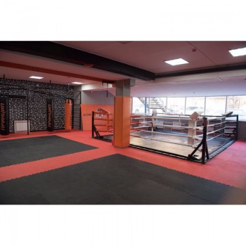 ���� ��������� ������������� 5 � 5 � IRON KING ����� ���� - SPORTSMAN ����� ����������� ��������� VASIL