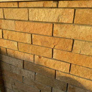        - SPORTSMAN    VASIL