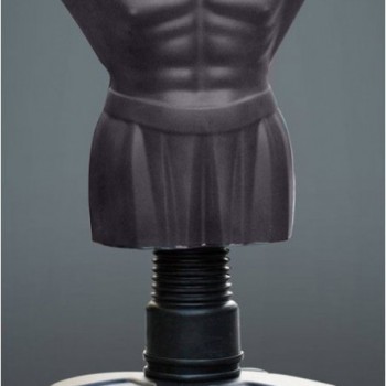 ������������ ������� ������ ���������� ������������� DFC Boxing Punching Man-Medium (����) - SPORTSMAN ����� ����������� ��������� VASIL