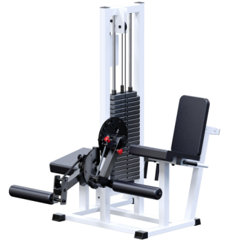    +   ( 100 ) AR041 - SPORTSMAN    VASIL