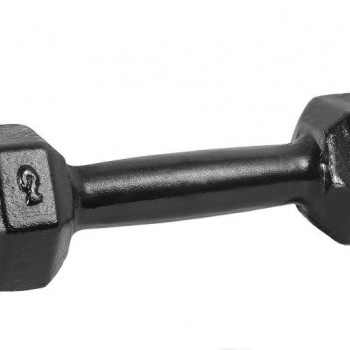      2  /2 IRON KING   - SPORTSMAN    VASIL