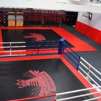 ���� ���������� IRON KING ����� ���� � ����. ����� 6 � 6 �., �� ������� 7 � 7 �. ������� 0,5 �. - SPORTSMAN ����� ����������� ��������� VASIL