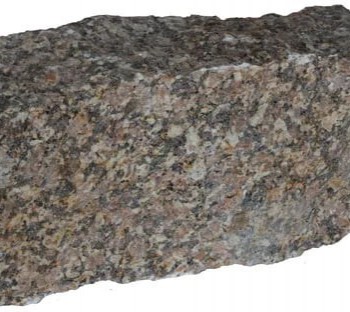     - SPORTSMAN    VASIL